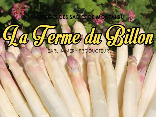 La Ferme du Billon